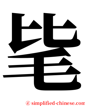 毞 serif font