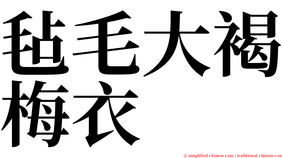 毡毛大褐梅衣 serif font