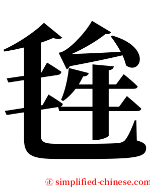 毪 serif font