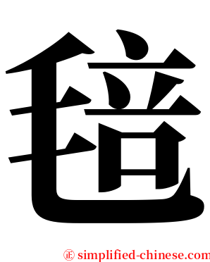 毰 serif font