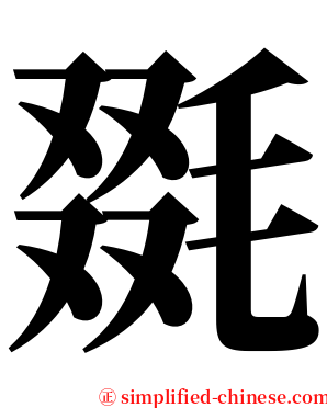 毲 serif font