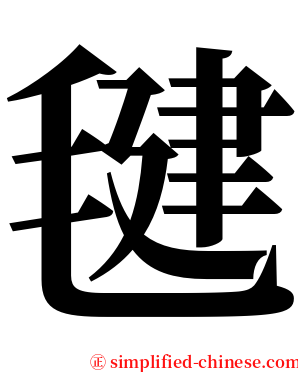 毽 serif font