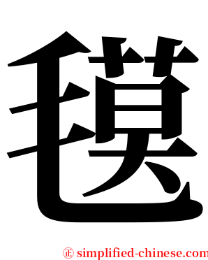 氁 serif font