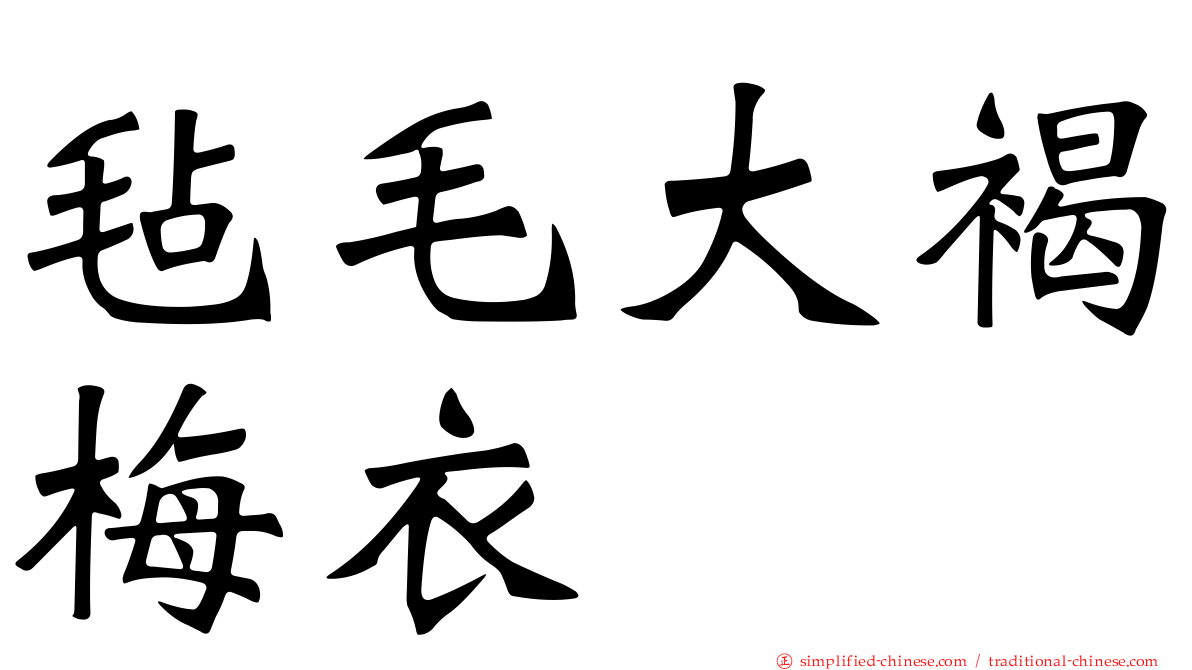 毡毛大褐梅衣