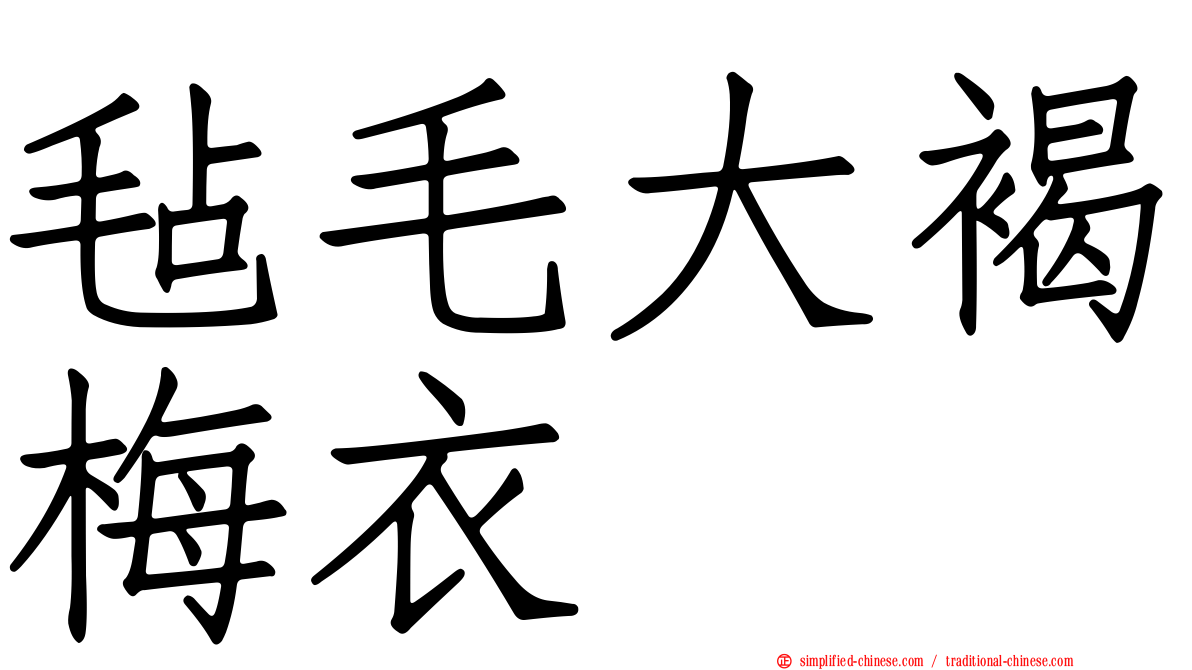 毡毛大褐梅衣