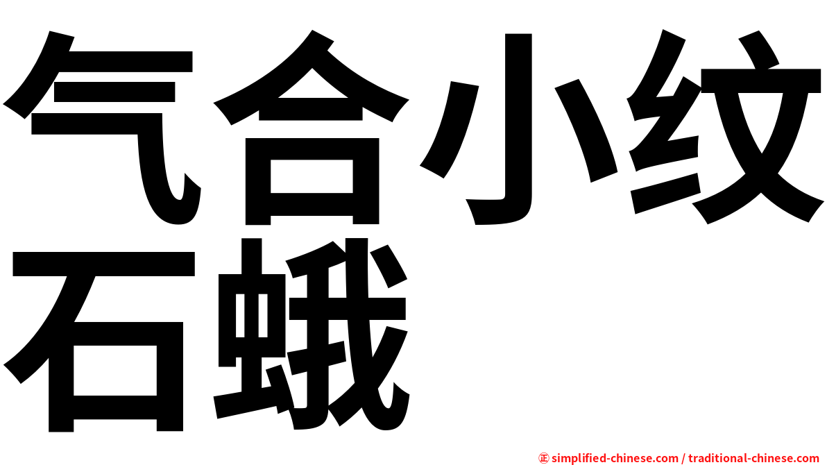 气合小纹石蛾