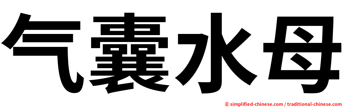气囊水母