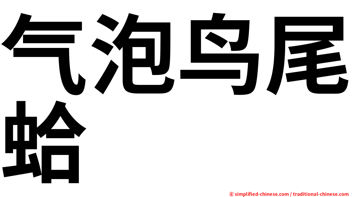 气泡鸟尾蛤
