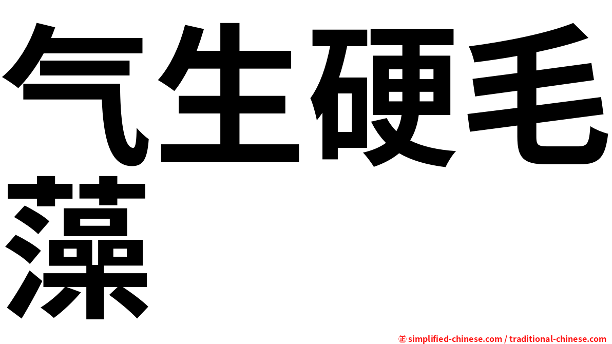 气生硬毛藻