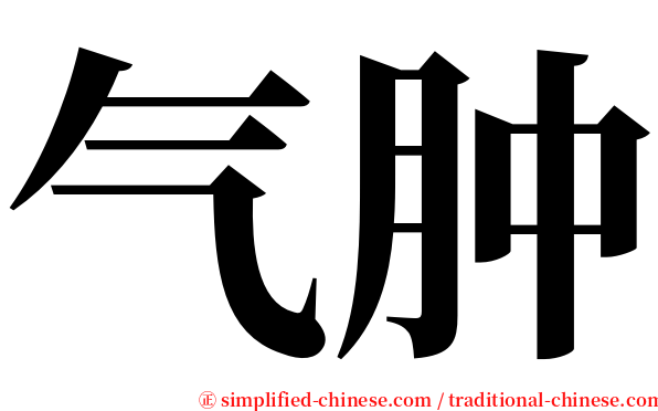 气肿 serif font