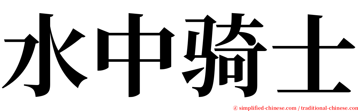水中骑士 serif font
