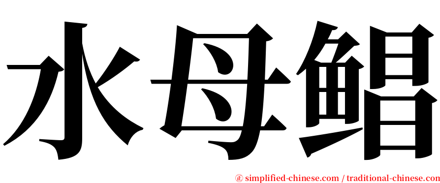 水母鲳 serif font
