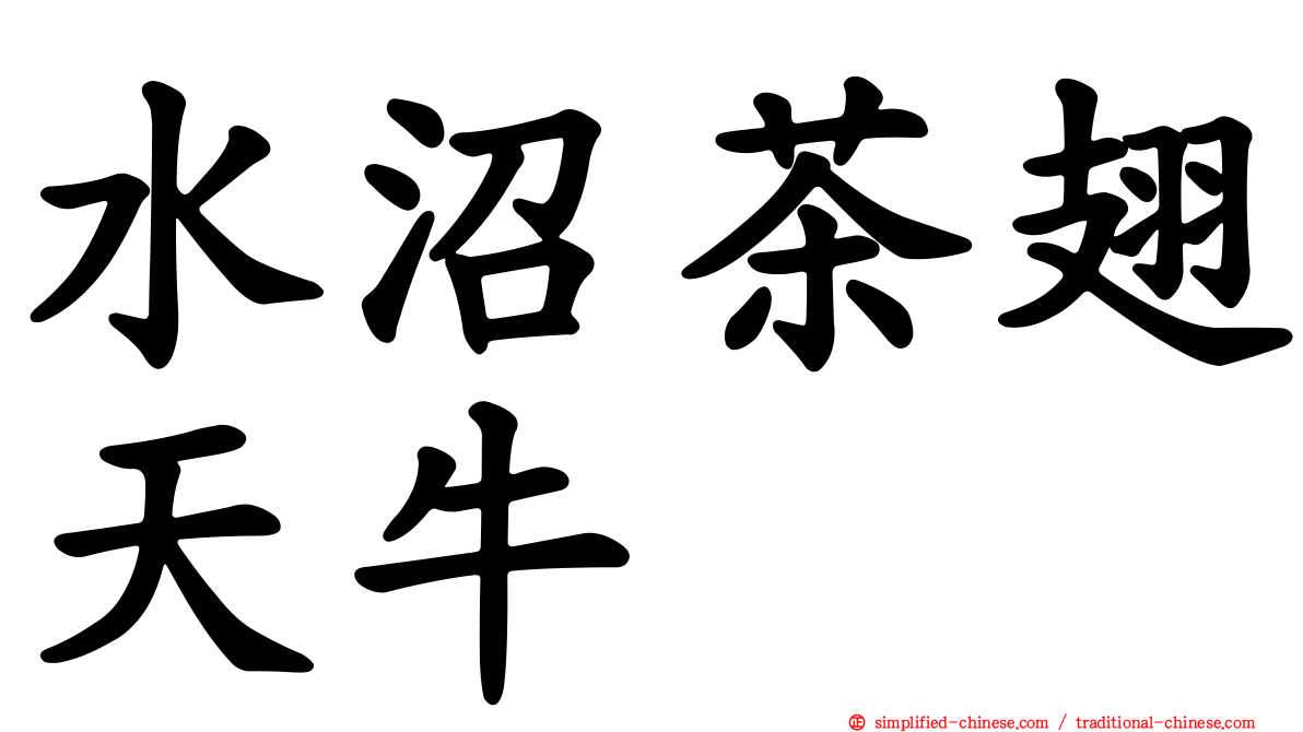 水沼茶翅天牛