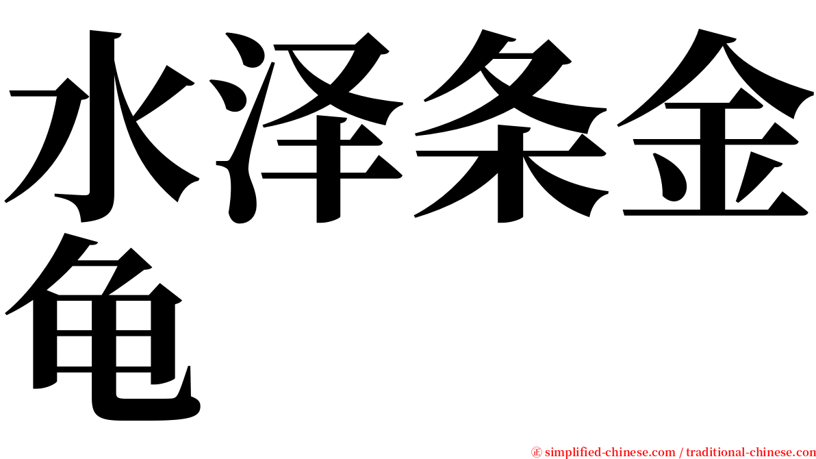 水泽条金龟 serif font