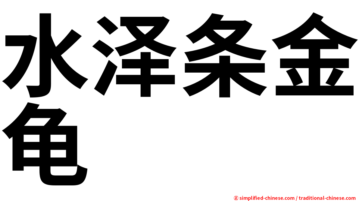 水泽条金龟