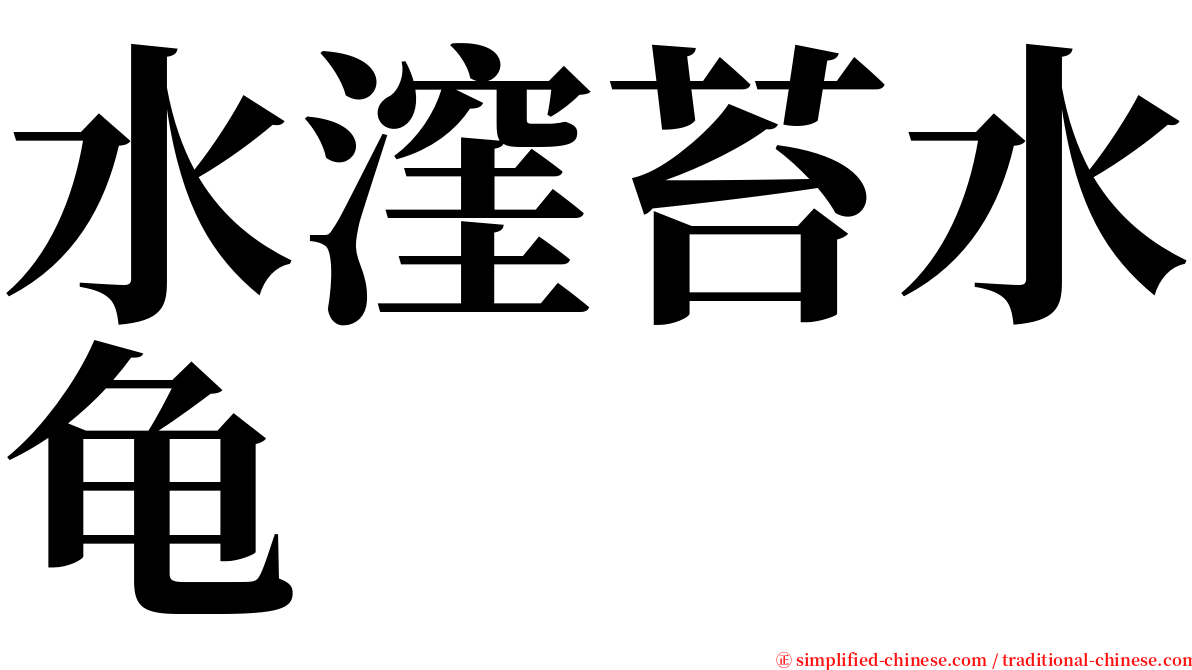 水漥苔水龟 serif font