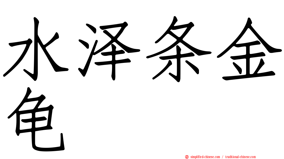水泽条金龟