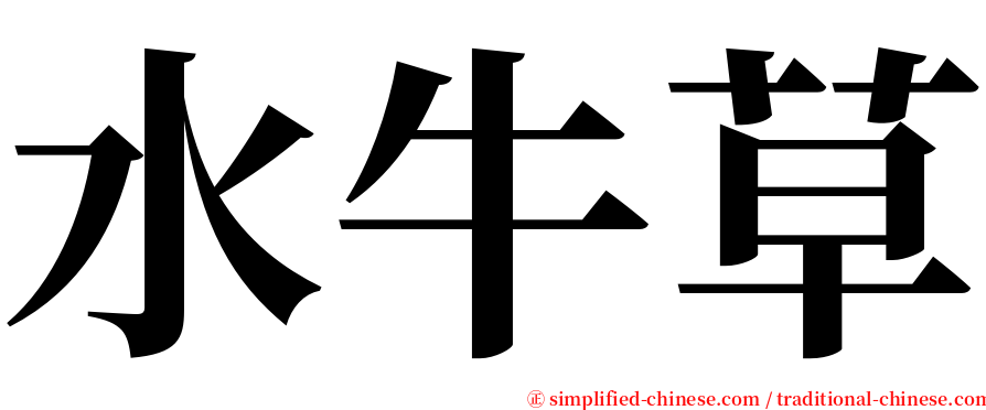 水牛草 serif font