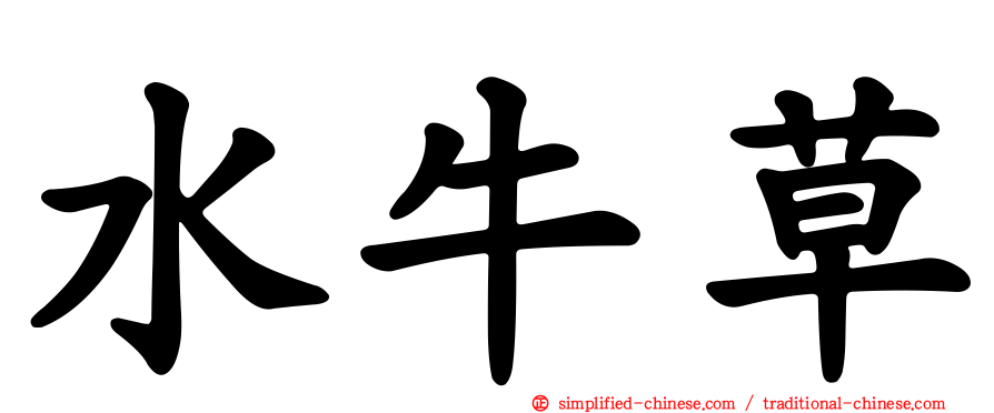 水牛草