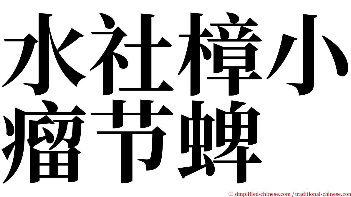 水社樟小瘤节蜱 serif font