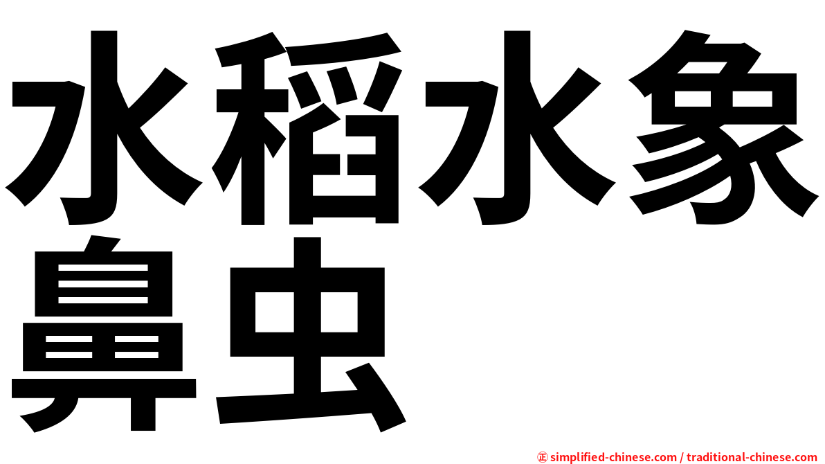 水稻水象鼻虫