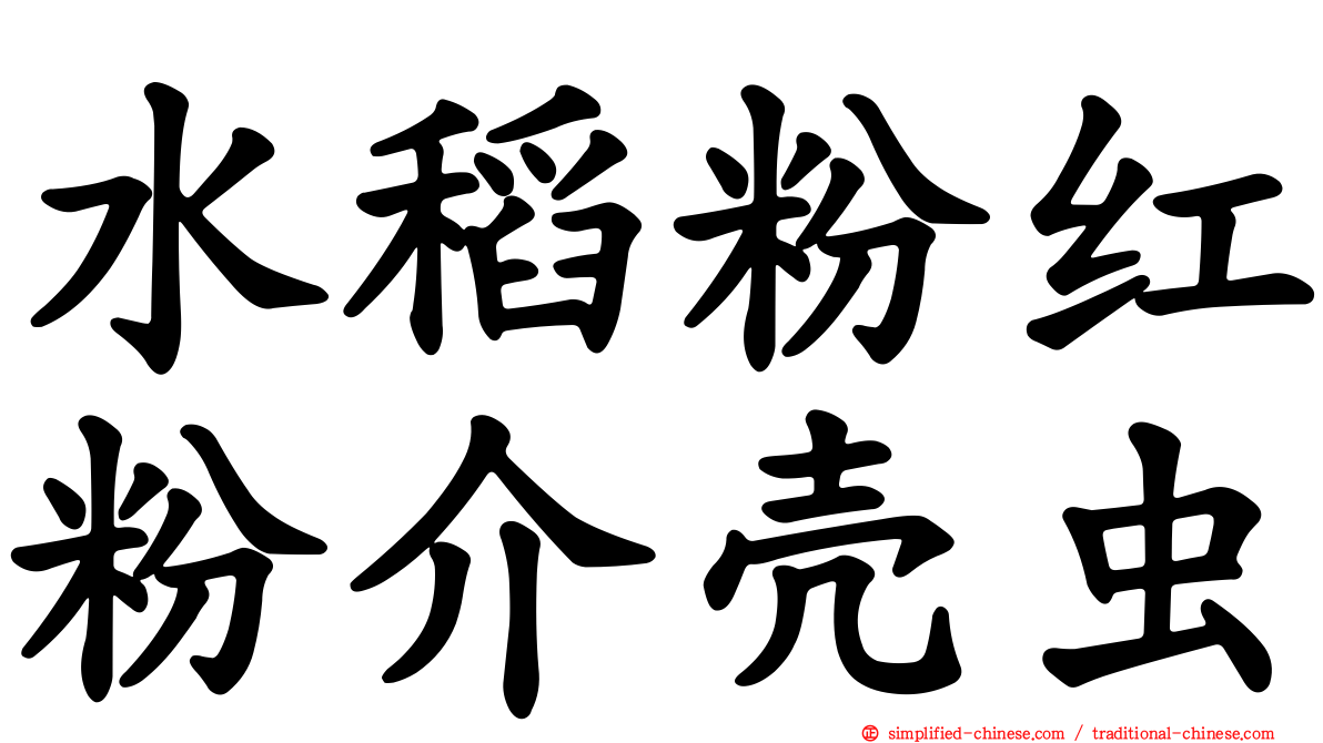 水稻粉红粉介壳虫