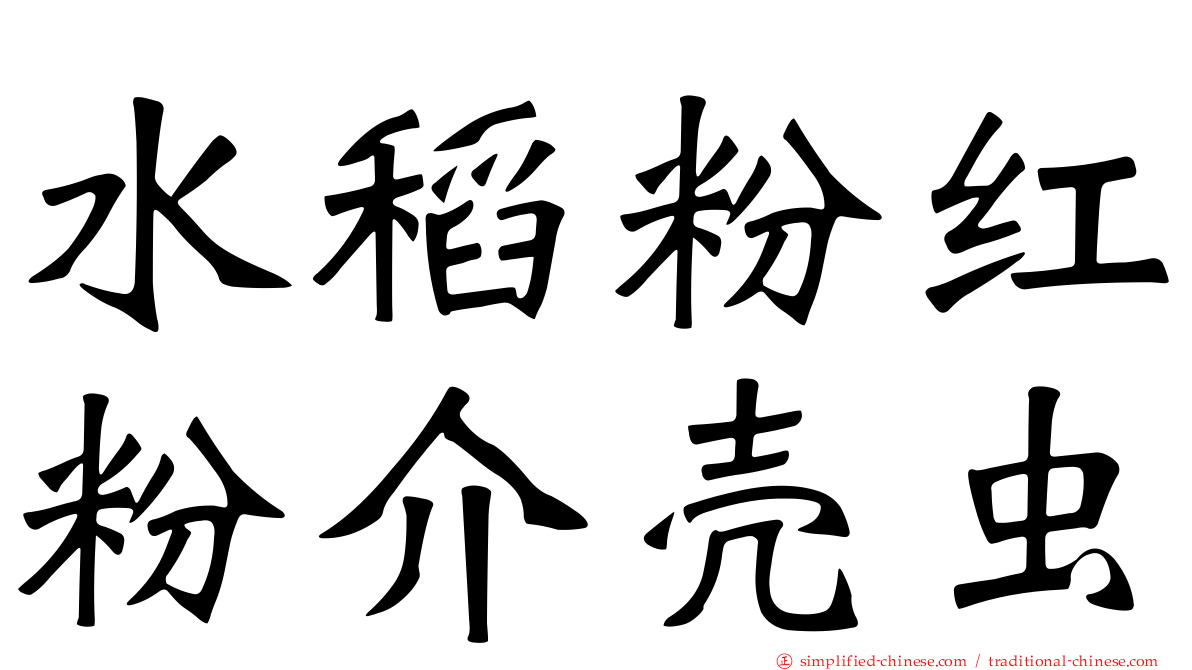 水稻粉红粉介壳虫