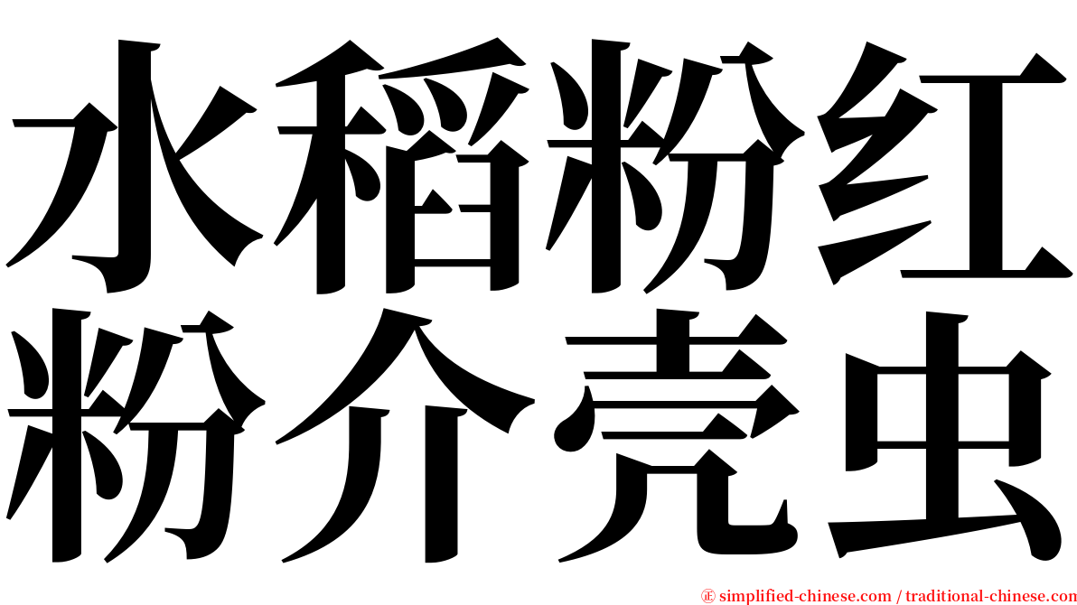 水稻粉红粉介壳虫 serif font