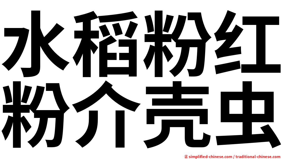 水稻粉红粉介壳虫