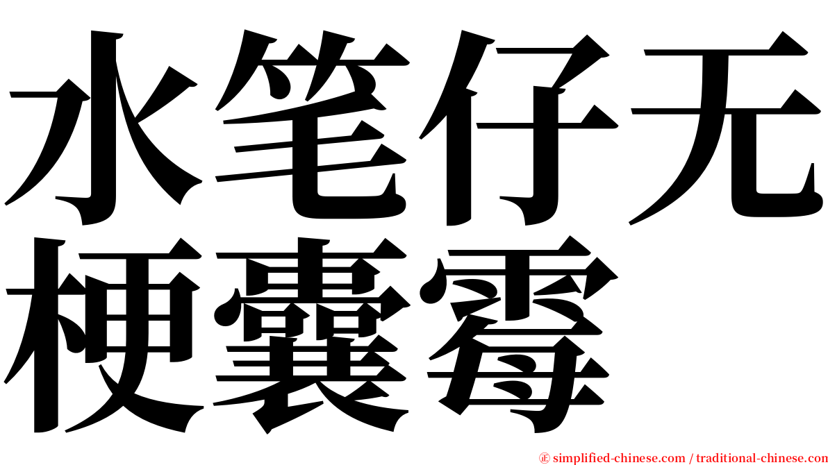水笔仔无梗囊霉 serif font