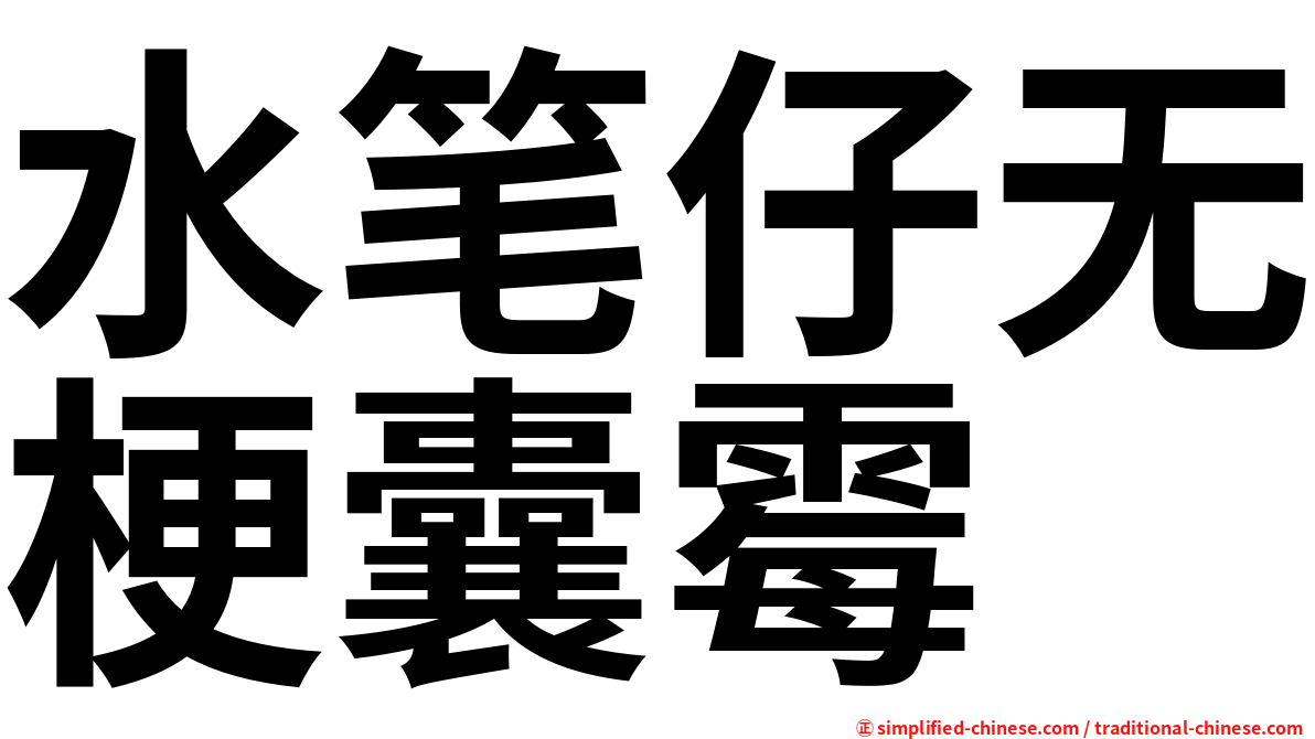 水笔仔无梗囊霉