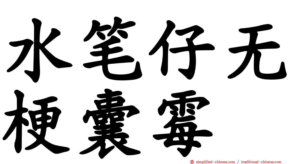 水笔仔无梗囊霉