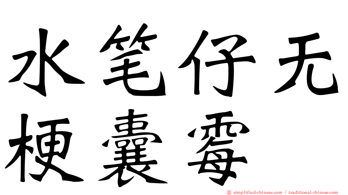 水笔仔无梗囊霉