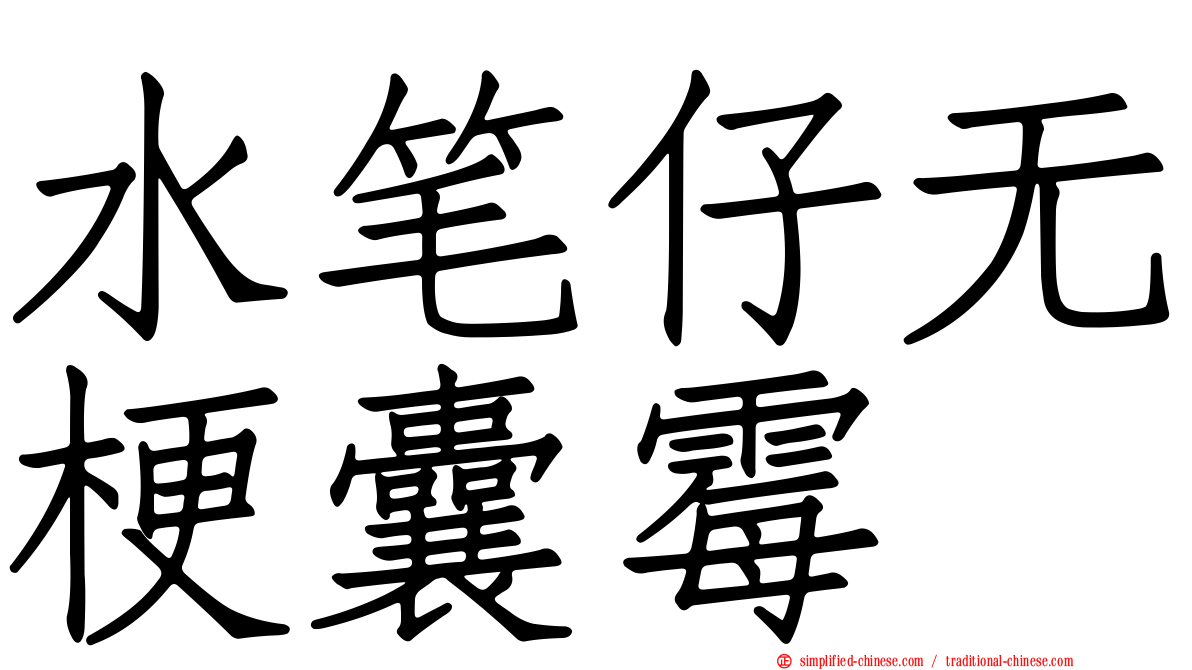 水笔仔无梗囊霉