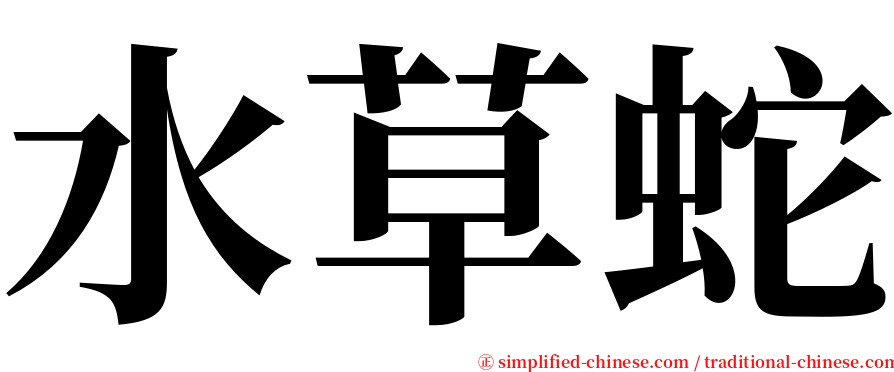水草蛇 serif font