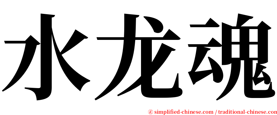 水龙魂 serif font
