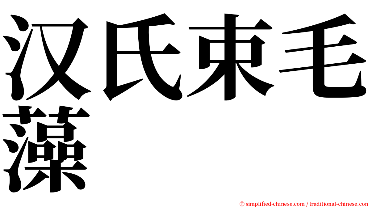 汉氏束毛藻 serif font