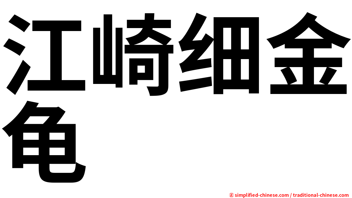 江崎细金龟