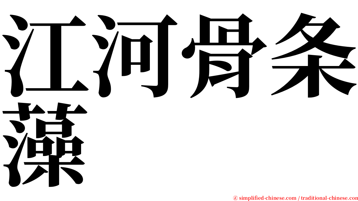 江河骨条藻 serif font