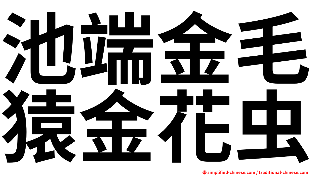 池端金毛猿金花虫