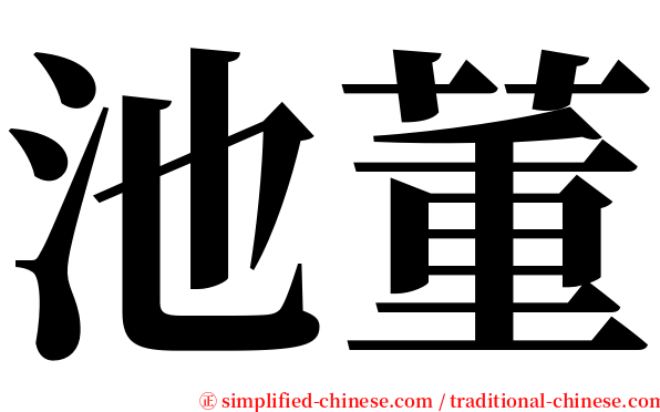池董 serif font