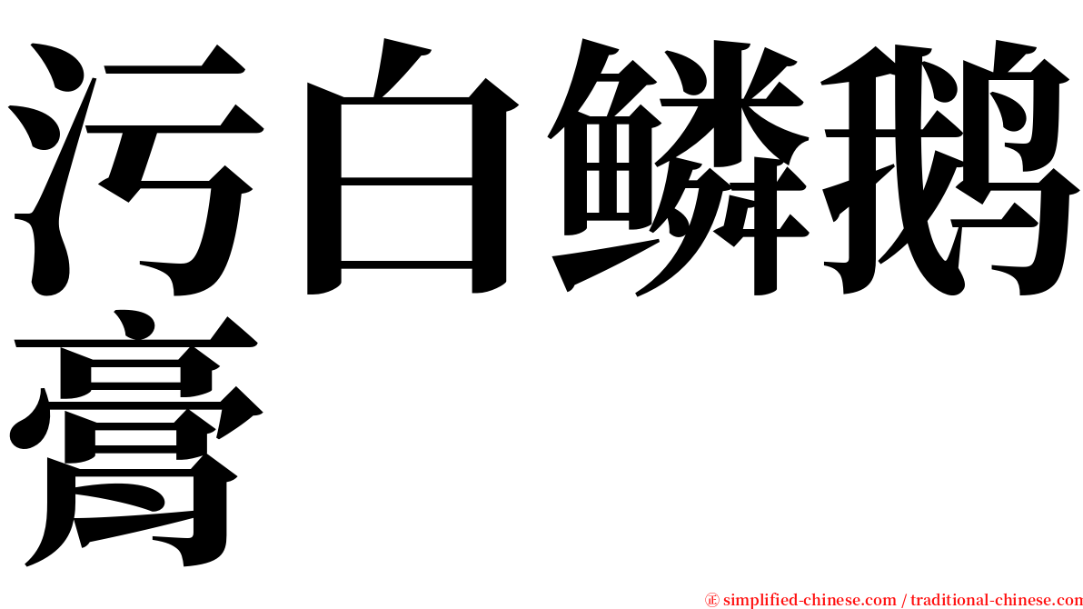 污白鳞鹅膏 serif font