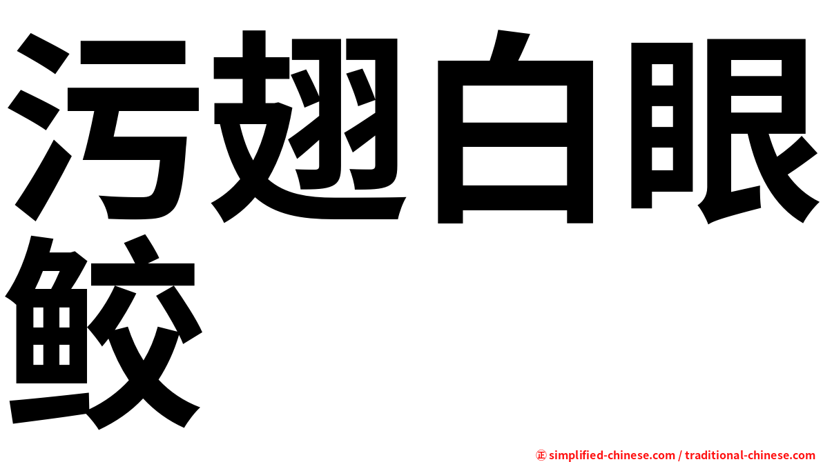 污翅白眼鲛
