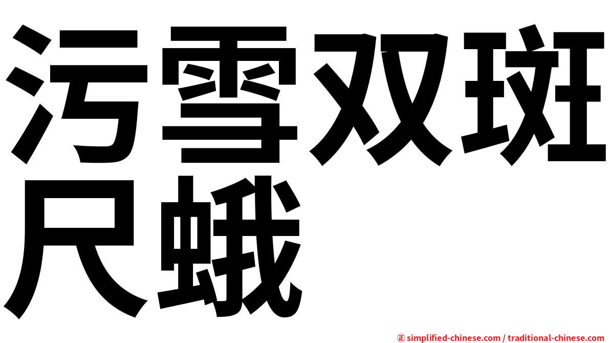 污雪双斑尺蛾