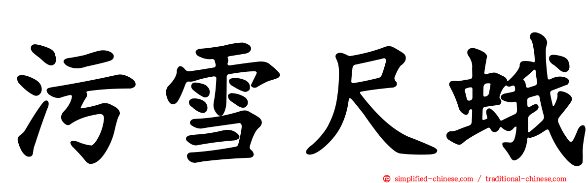 污雪尺蛾