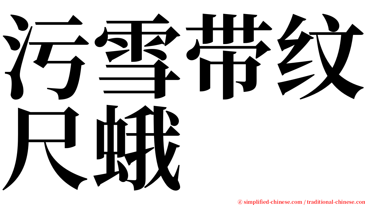 污雪带纹尺蛾 serif font