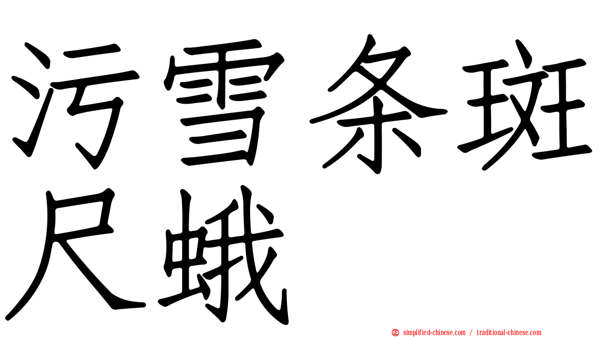 污雪条斑尺蛾