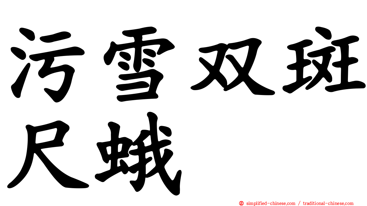 污雪双斑尺蛾