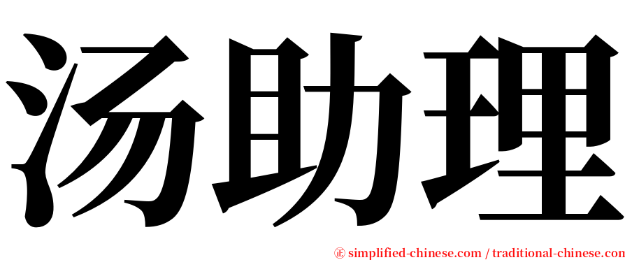 汤助理 serif font