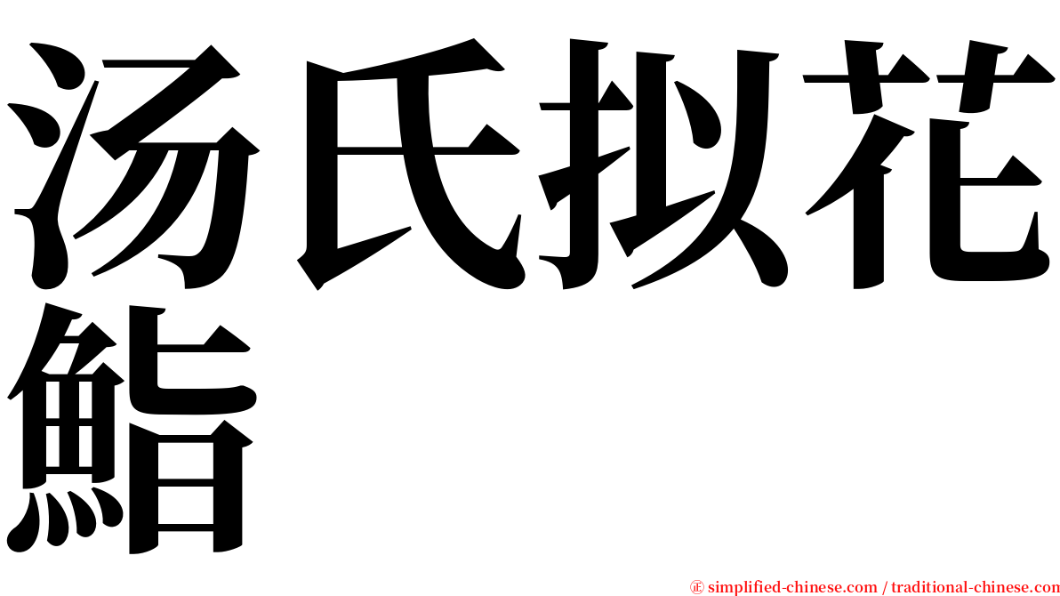 汤氏拟花鮨 serif font